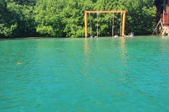 Roatan Mangrove Tour – East End Adventure